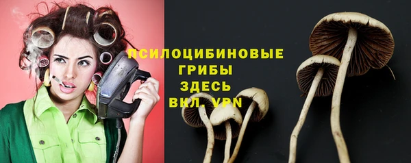 сатива Балабаново