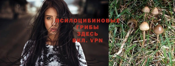 сатива Балабаново